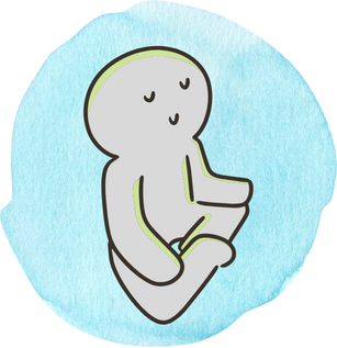 Sikhia blog (6)